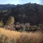Spain Mountain Bike Holidays - Rio-Serpis-1