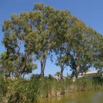 IMGP4961