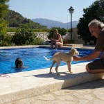 Pet Friendly Accommodation Spain