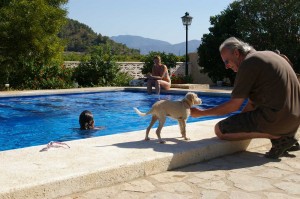 Pet Friendly Accommodation Spain IMGP5174 Pet Friendly Accommodation Spain