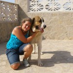 Pet Friendly Accommodation Spain IMGP5221