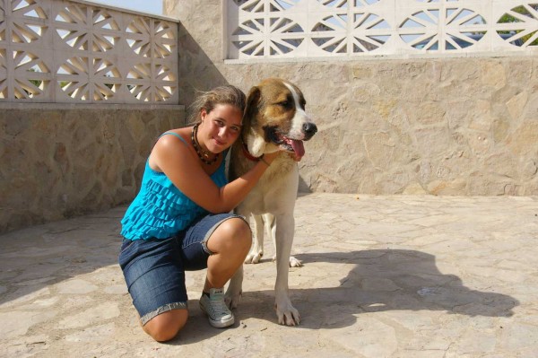 Pet Friendly Accommodation Spain IMGP5221 Pet Friendly Accommodation Spain
