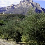 Activity-holidays-spain