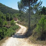 Single-Track-Spain