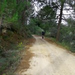 Single-Track-Valencia