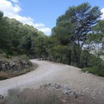 Walking-holidays-Spain