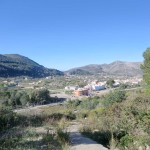 CIMG2446