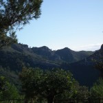 DSCF3712